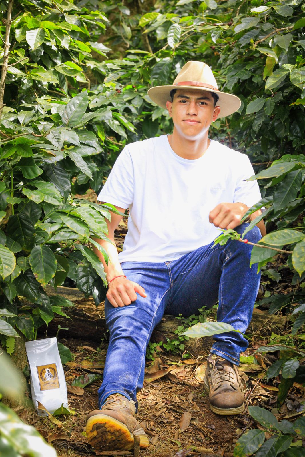 A member of the Sánchez family among the coffee trees